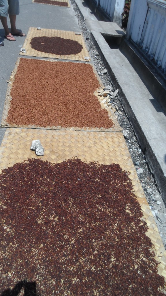 Spices drying in the sun