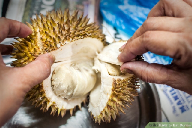 Durian-Step-5Bullet3